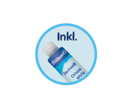Pelikan Boîte de peinture standard d'école K12, 12 couleurs