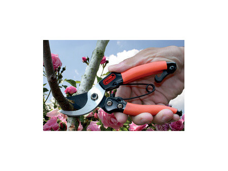 Garten PRIMUS Sécateur de jardin pour dames, longueur: 178mm