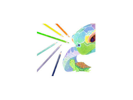 Kores Crayon de couleur 'Kolores Style', étui carton de 15
