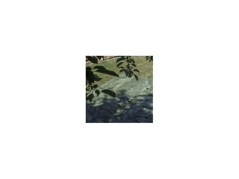 AGRIplus Bâche toile avec oeillets, 8 x 12 m, 250 g/m2, bleu