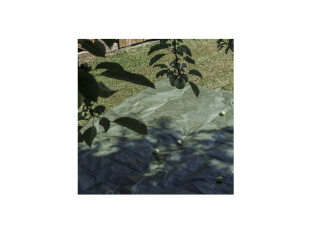 AGRIplus Bâche toile avec oeillets, 8 x 10 m, 250 g/m2, vert