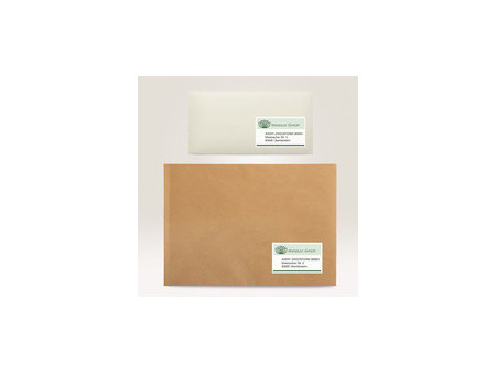 AVERY Zweckform Étiquette d'adresse recyclée, 99,1 x 38,1 mm