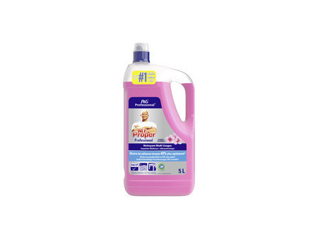P&G Professional Mr Proper Nettoyant multi-usage 5 l, océan