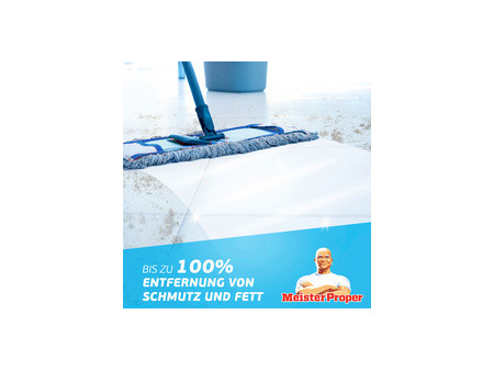 Meister Proper Nettoyant multi-usage, 1 l, fraîcheur citron