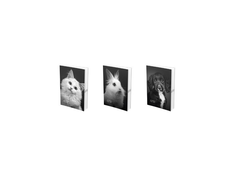 OXFORD Agenda scolaire PRINT ANIMAUX, 2026/2027, assorti