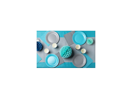PROnappe Assiette en carton, rond, 230 mm, bleu marine