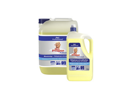 P&G Professional Mr Proper Nettoyant multi-usage 10 L, océan