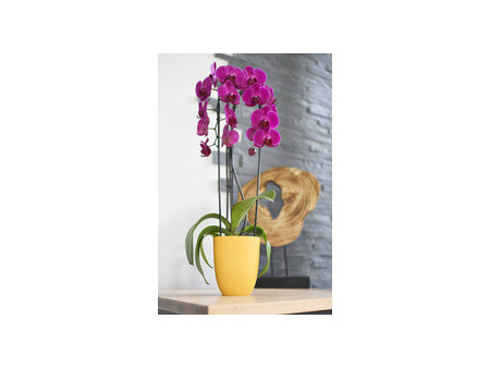 EDA Cache-pot IRIS, diamètre: 125 mm, ivoire