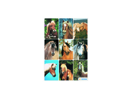 HERMA Sticker DECOR Monde du cheval, en papier