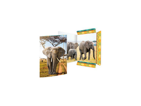 RNK Verlag Carton à dessin 'Élephant', A3