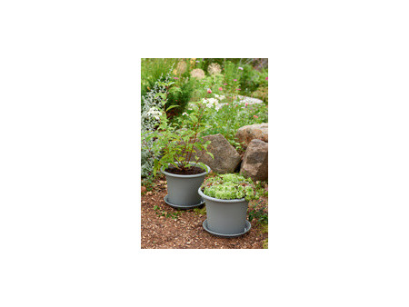 orthex Pot de fleurs BOTANICA, diamètre: 300 mm, gris