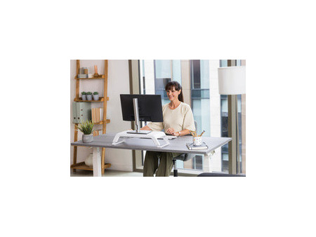 Fellowes Support pour écran Hana Lite, noir