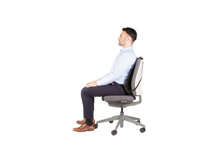 Fellowes Support dorsal en maille Professionnel Series, noir