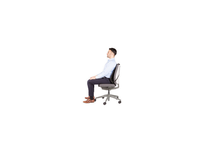 Fellowes Support dorsal en maille Professionnel Series, noir