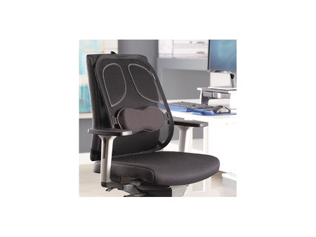 Fellowes Support dorsal en maille Professionnel Series, noir