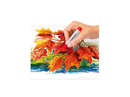 STAEDTLER Pastel à l'huile Design Journey, étui carton de 24
