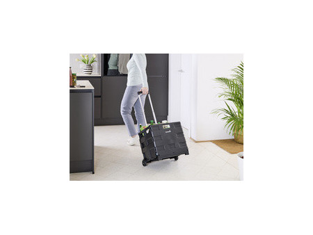 keeeper Chariot de transport 'olli' avec boîte pliante, 45 L