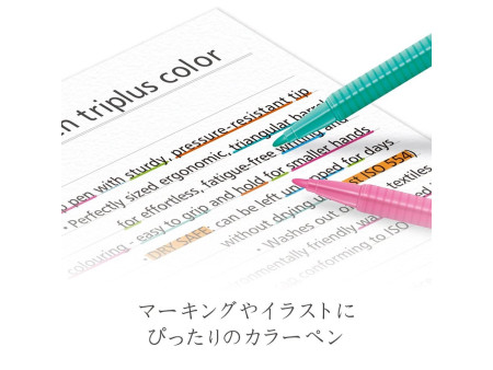 STAEDTLER Feutre de coloriage triplus color, noir