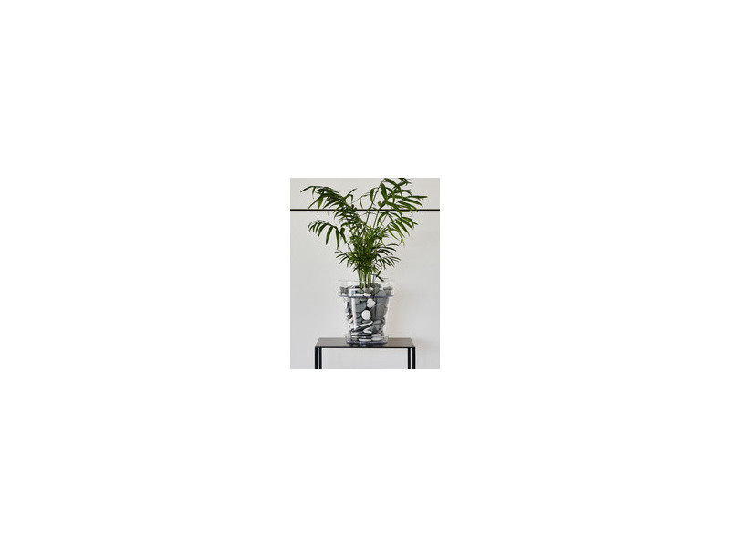 tera Pot de fleurs 'Porto 16', transparent