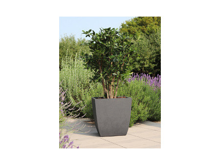 poétic Bac à plantes BASALT Diva, carré, 435 mm, anthracite