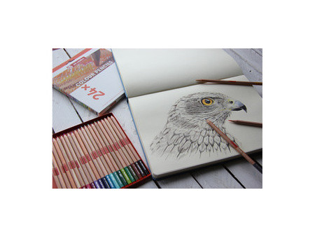 ROYAL TALENS Crayons de couleur Art Creation, rond, étui x12