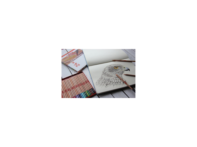 ROYAL TALENS Crayons de couleur Art Creation, rond, étui x24