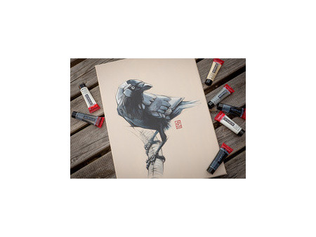 ROYAL TALENS Peinture acrylique AMSTERDAM, set de gris