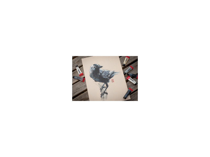 ROYAL TALENS Peinture acrylique AMSTERDAM, set de gris