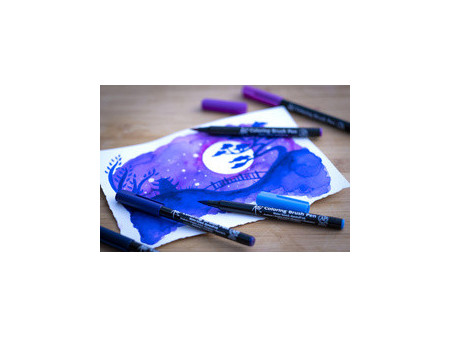 SAKURA Feutre pinceau Koi Colouring Brush Pen 'Galaxy'