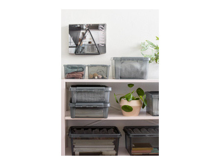 smartstore Boîte de rangement COLOUR 46 L, 46 litres, gris