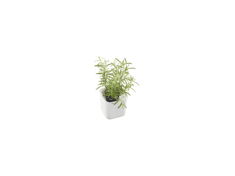 orthex Pot à herbes aromatiques EDEN, largeur: 120 mm, blanc