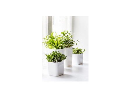 orthex Cache-pot EDEN, largeur : 160 mm, blanc