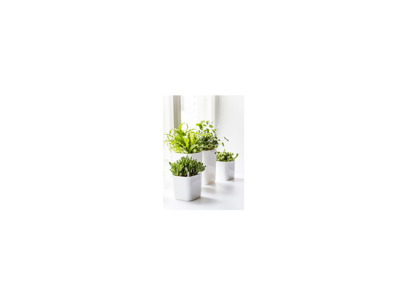 orthex Cache-pot EDEN, largeur : 160 mm, blanc
