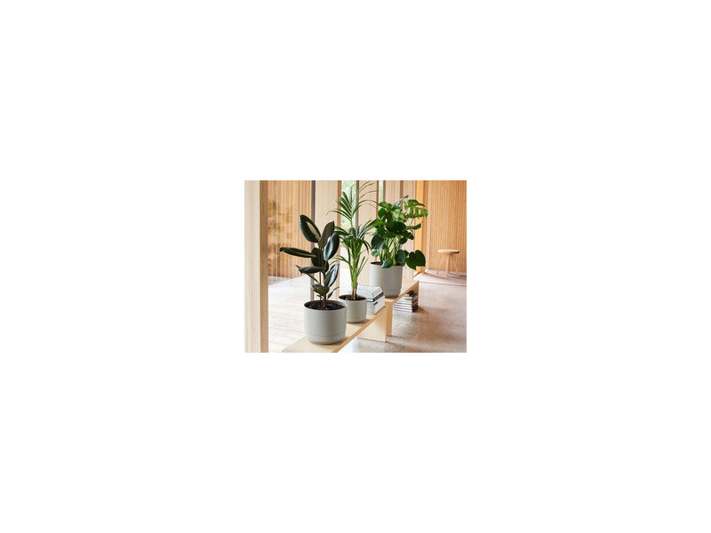 orthex Pot de fleurs PAULINA, diamètre : 170 mm, noir