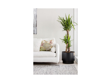 orthex Pot de fleurs PAULINA, diamètre: 250 mm, noir