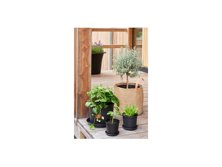 orthex Pot de fleurs CULTIVATE, diamètre: 120 mm, noir
