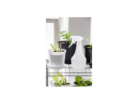 orthex Vaporisateur 0,5 litre, transparent