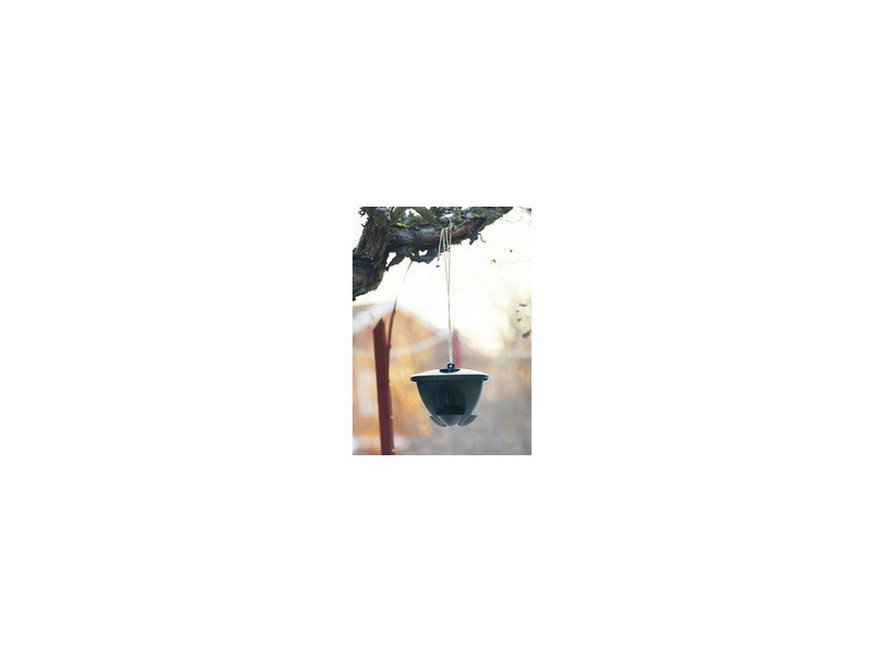 orthex Mangeoire pour oiseaux BIRDIE, vert/anthracite