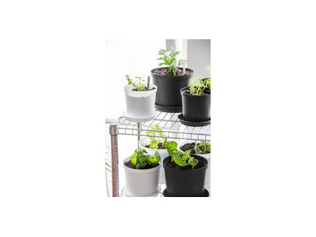 orthex Pot de fleurs CULTIVATE, diamètre: 160 mm, gris