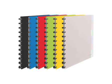 Esselte Protège-documents VIVIDA, A4, 25 pochettes, assorti