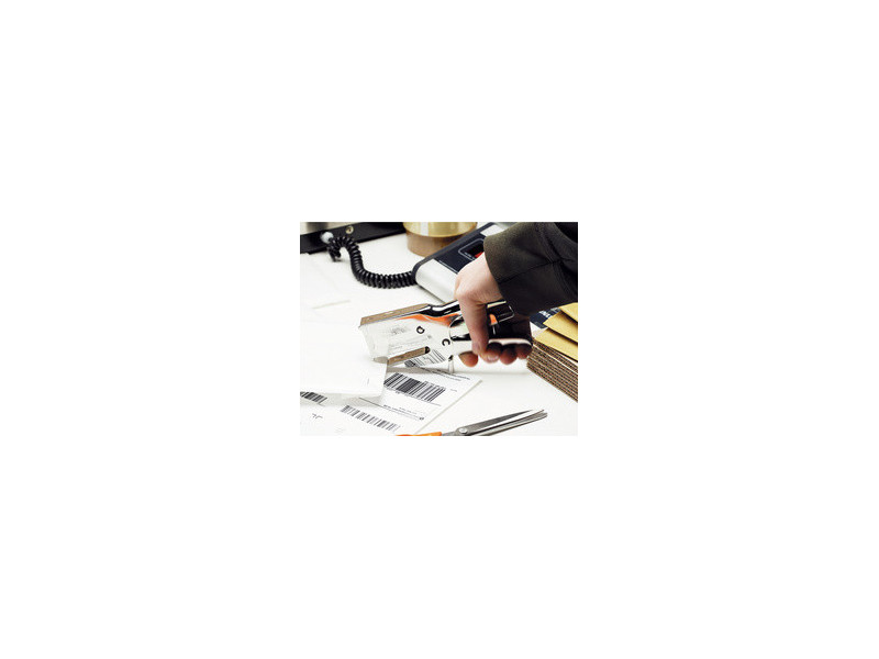 Rapid Pince agrafeuse puissante Classic HD 31, argent