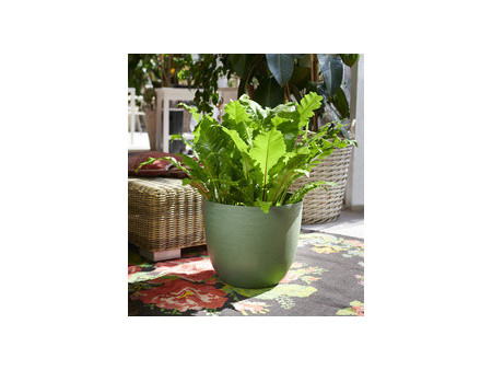 tera Pot de fleurs 'Over', diamètre: 580 mm, black