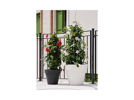 tera Pot de fleurs 'Standard One 40', antracite