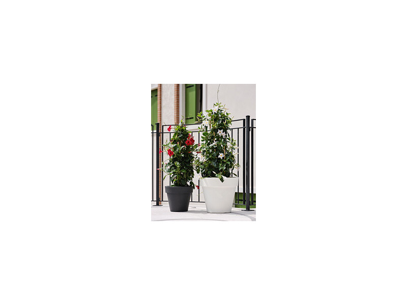 tera Pot de fleurs 'Standard One 40', antracite