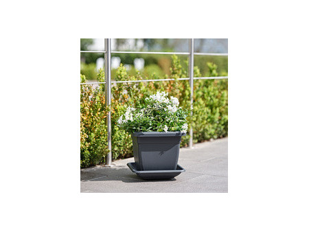 tera Soucoupe 'Nazca', largeur: 450 mm, anthracite