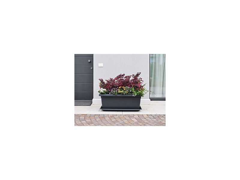 tera Jardinière 'Tikal', largeur: 620 mm, anthracite