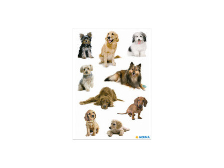 HERMA Autocollants DECOR 'Photos de chiens'