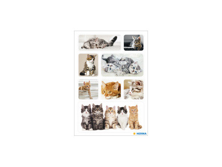 HERMA Autocollants DECOR 'Drôle de chaton'