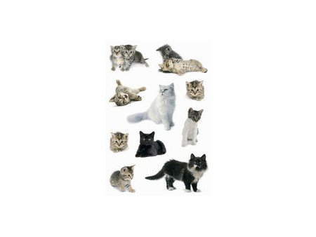HERMA Autocollants DECOR 'Photos de chats'