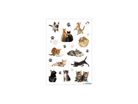 HERMA Autocollants DECOR 'Photos de chats'